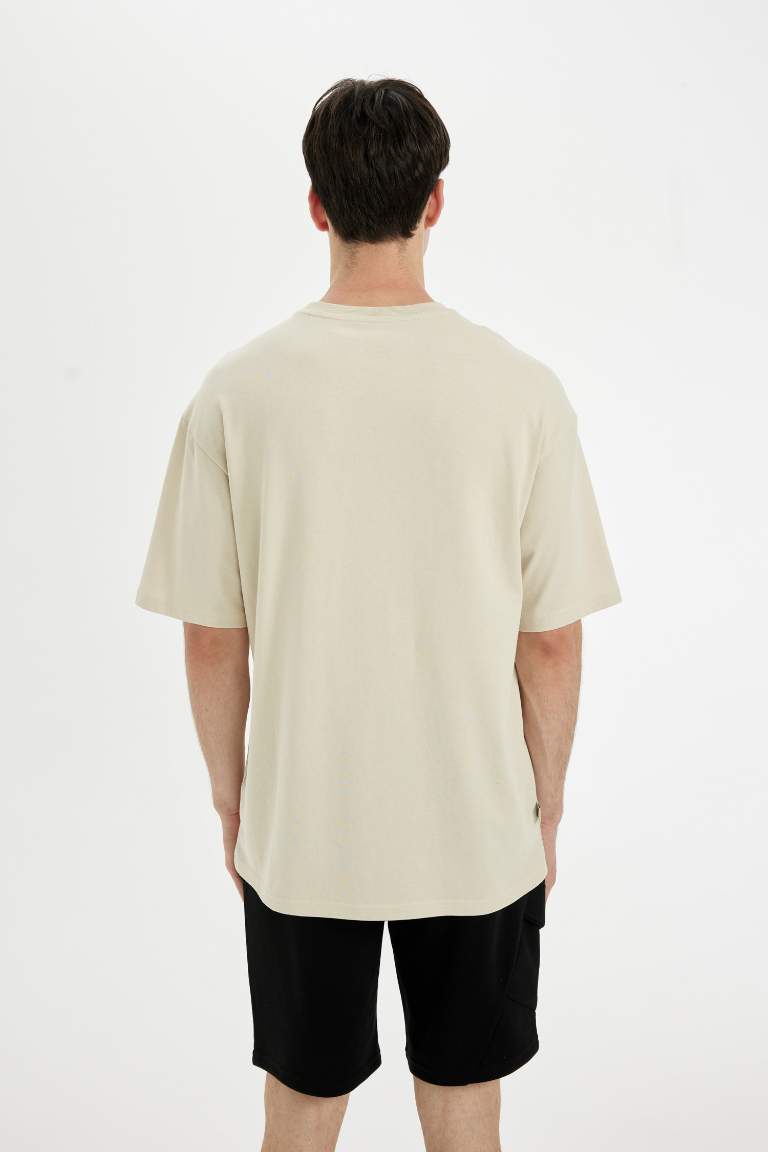 Comfort Regular Fit Crew Neck Printed T-Shirt