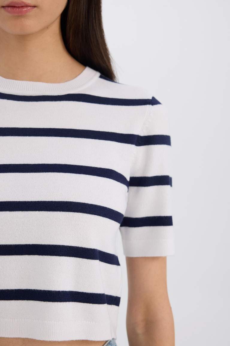 Fitted Crew Neck Striped Knitwear T-Shirt