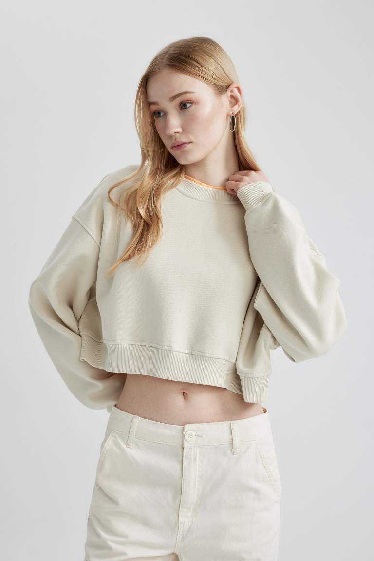 Crew Neck Crop Basic Sweatshirt