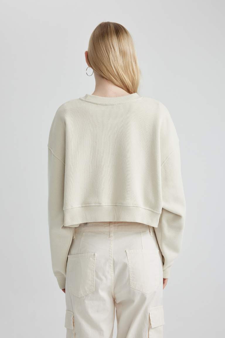 Crew Neck Crop Basic Sweatshirt