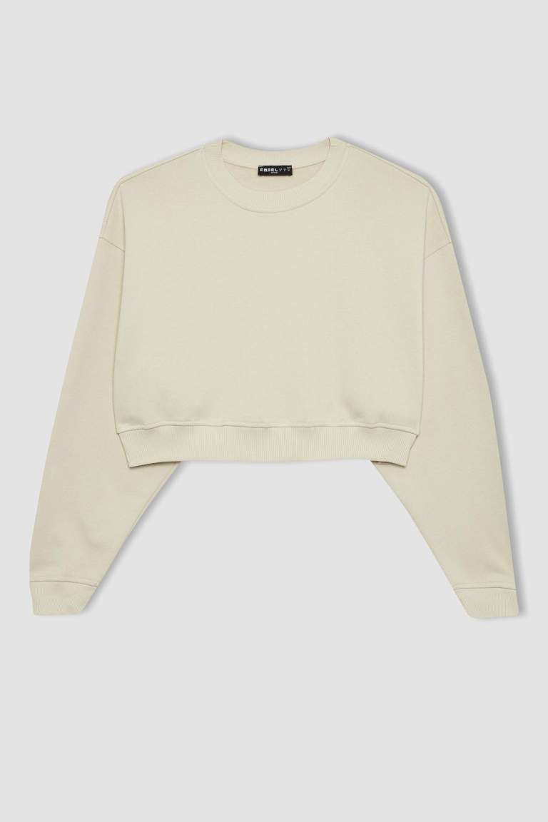 Crew Neck Crop Basic Sweatshirt