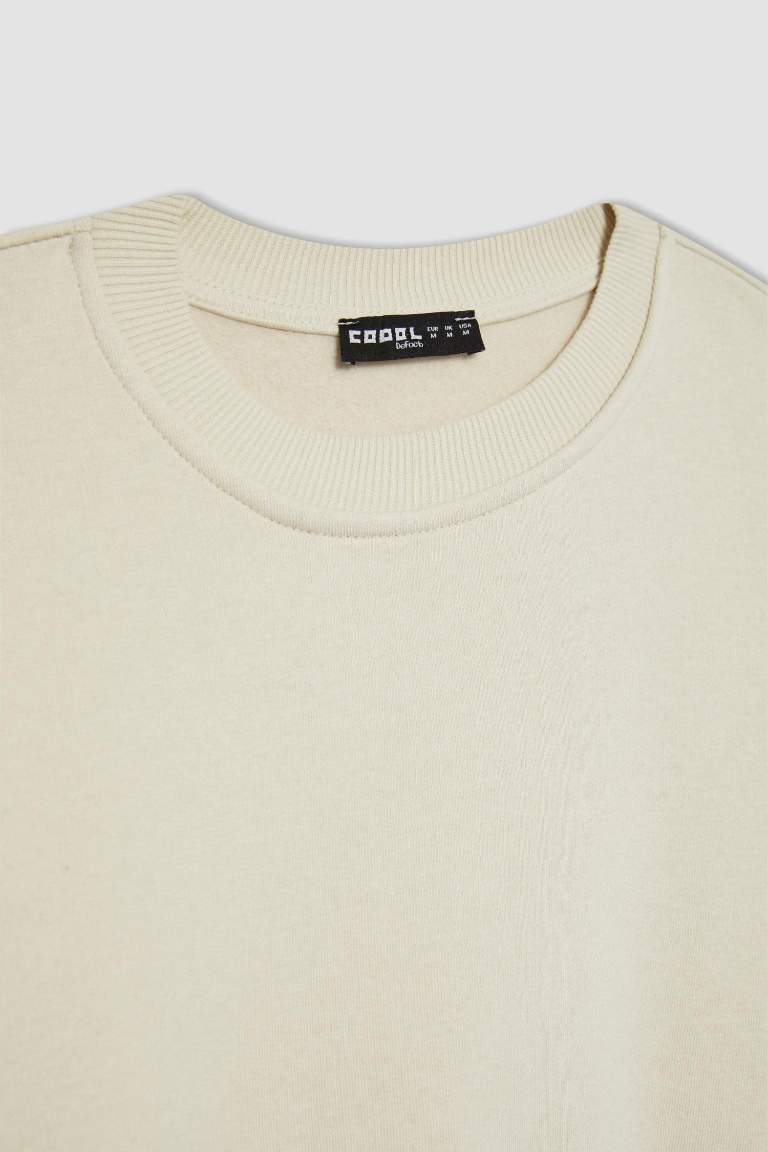 Crew Neck Crop Basic Sweatshirt