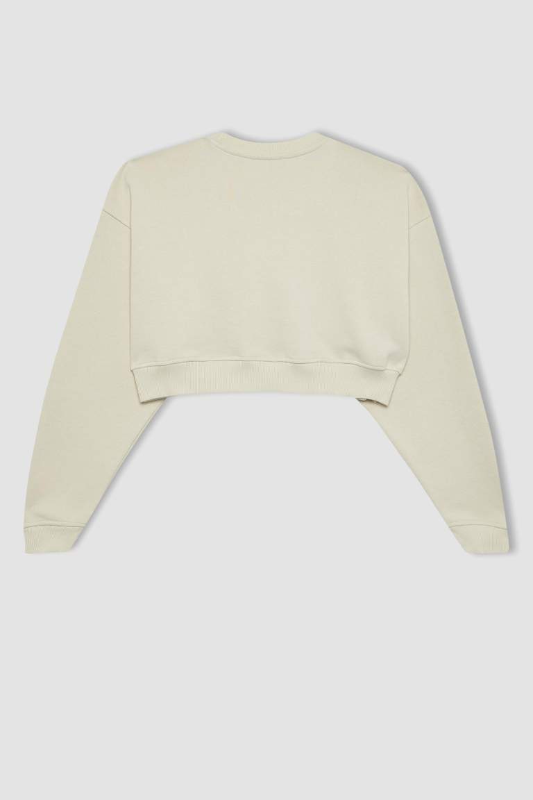 Crew Neck Crop Basic Sweatshirt