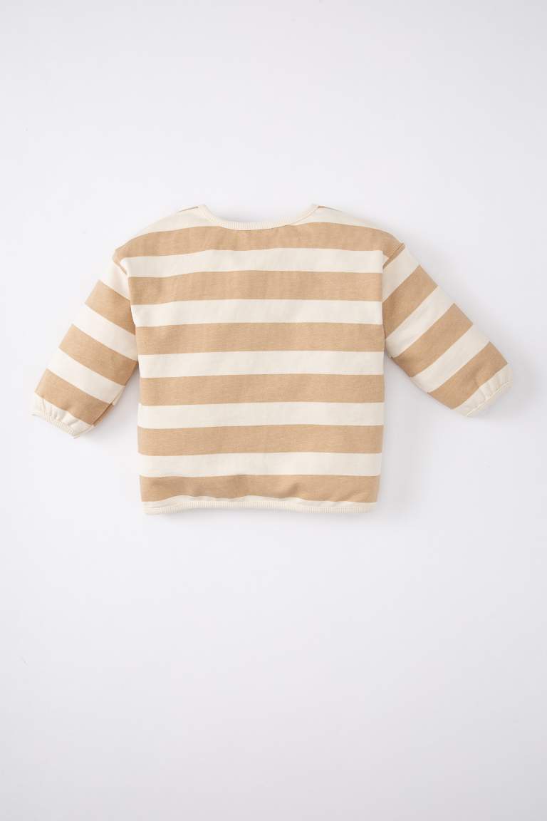 Baby Girl Regular Fit Crew Neck Striped Sweatshirt