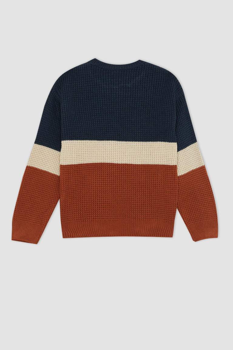 Boy Regular Fit Crew Neck Color Block Knitted Pullover