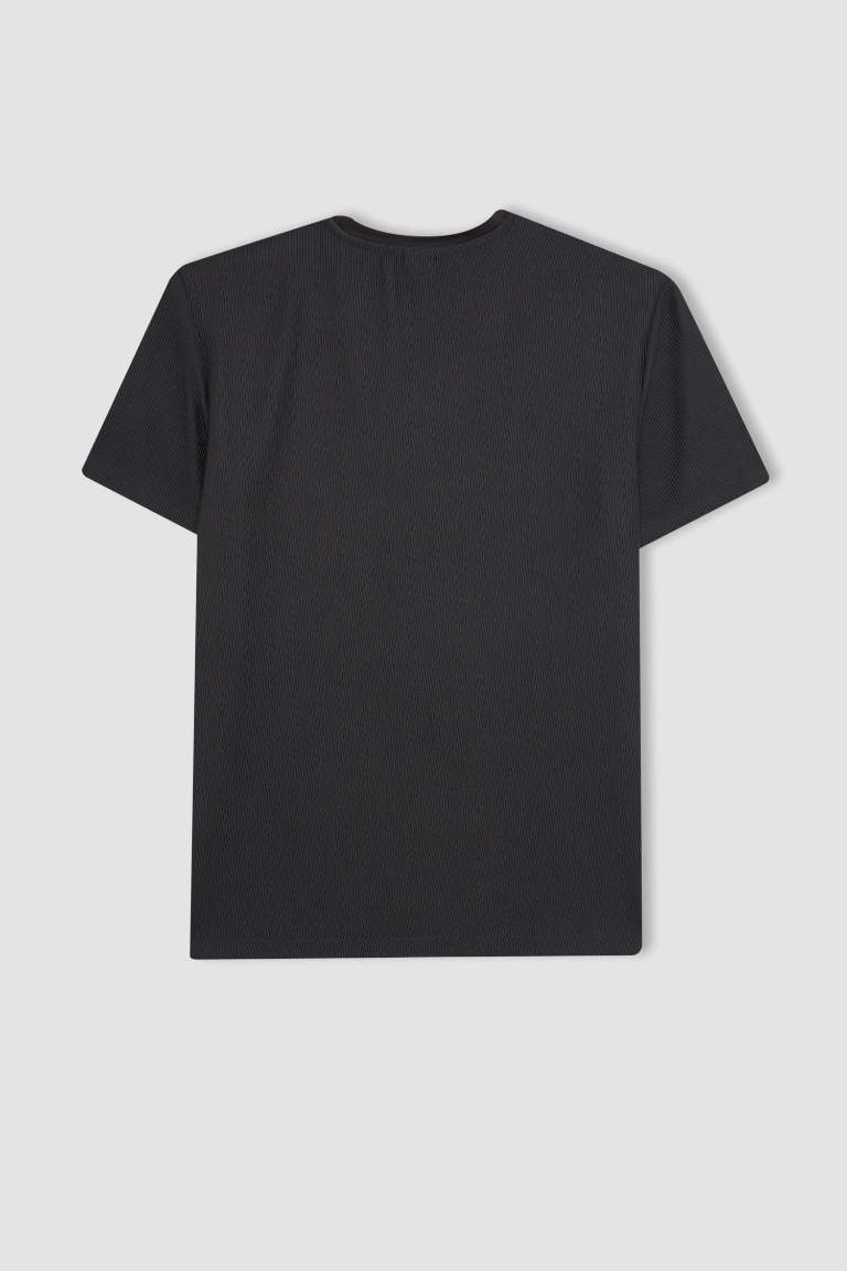 Regular Fit Crew Neck T-Shirt