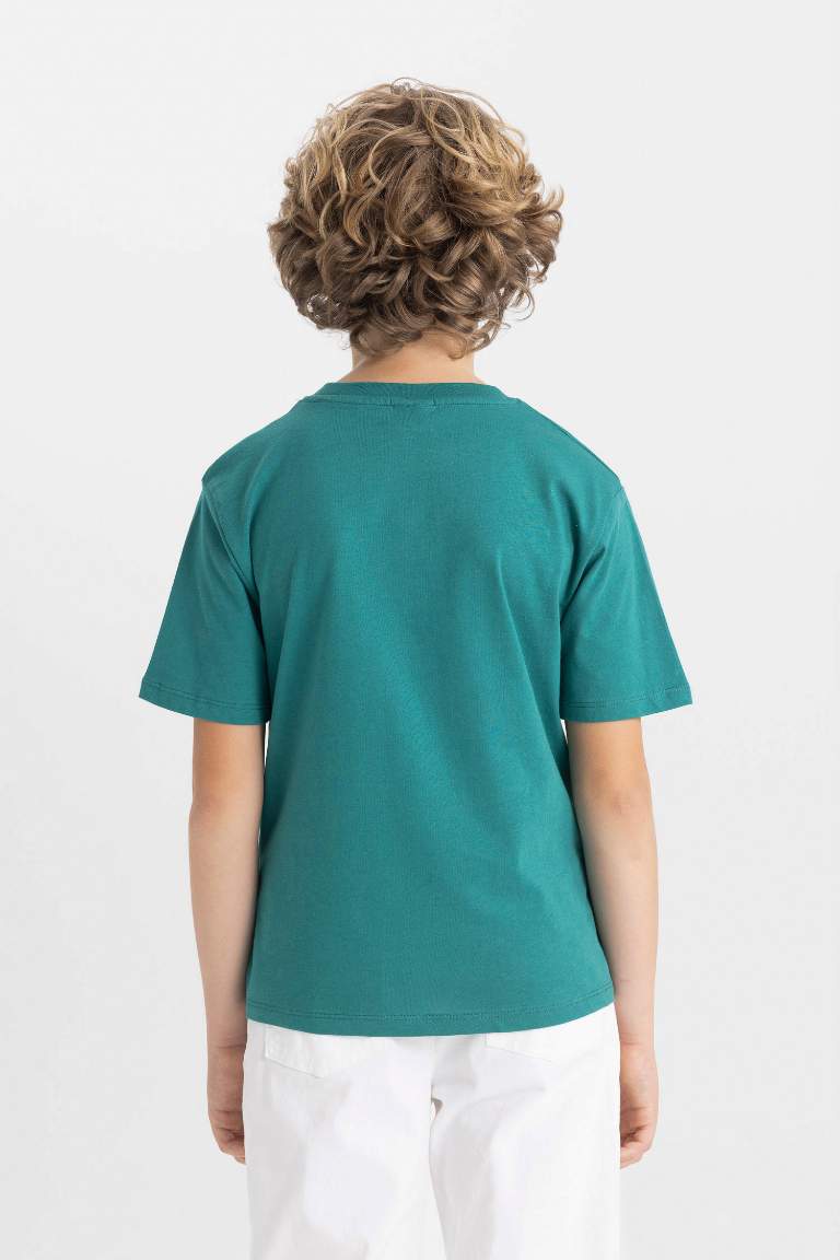 Boy Crew Neck Color Blocked Short Sleeve T-Shirt