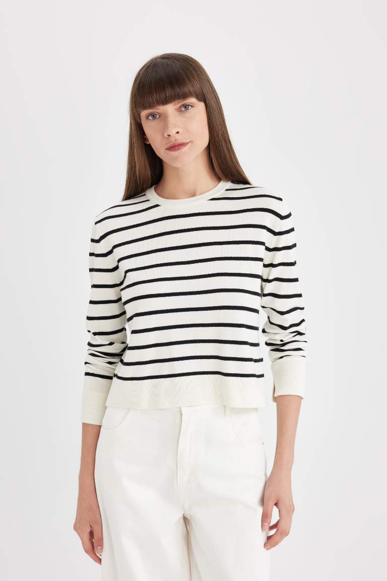 Regular Fit Crew Neck Striped Pullover