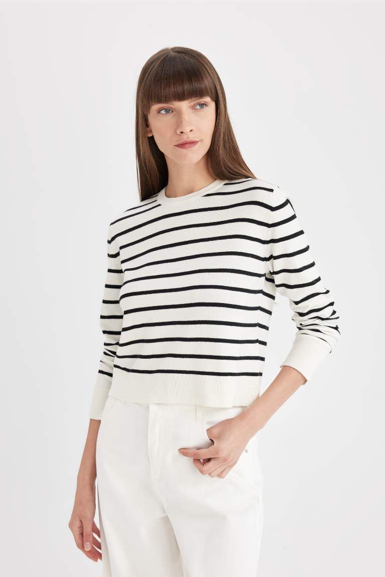 Regular Fit Crew Neck Striped Pullover