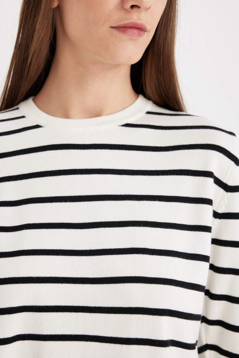 Regular Fit Crew Neck Striped Pullover