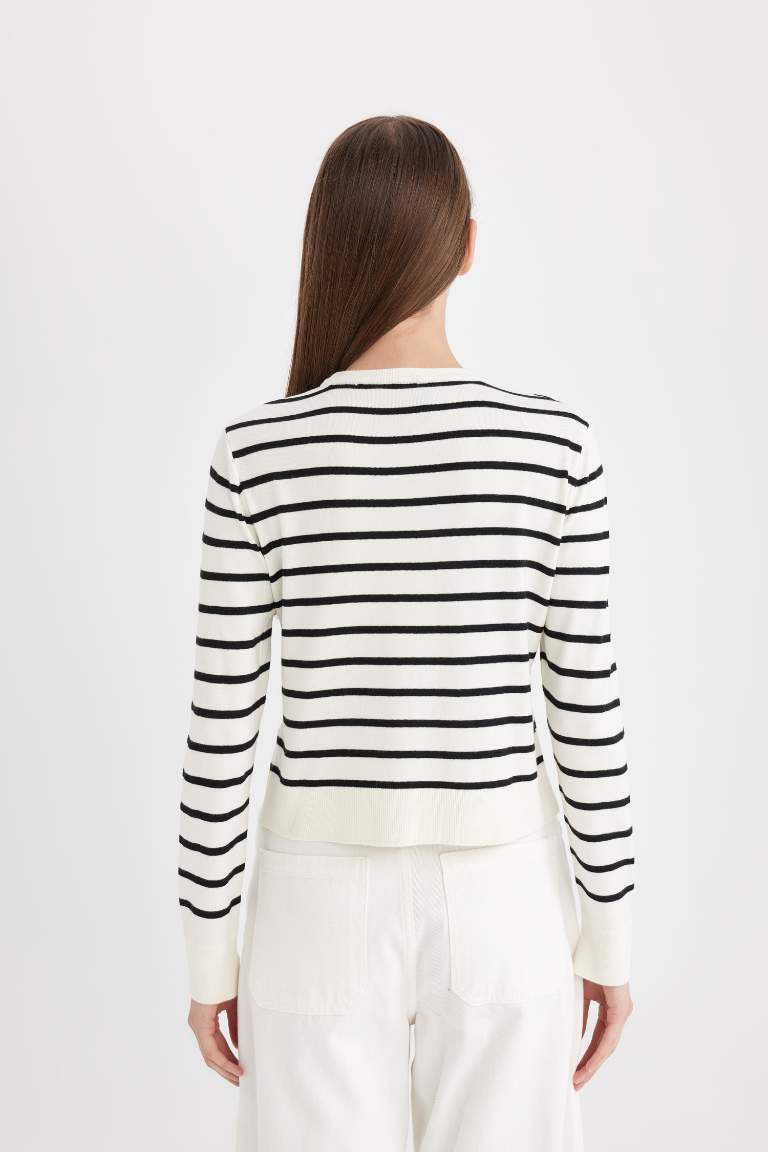 Regular Fit Crew Neck Striped Pullover