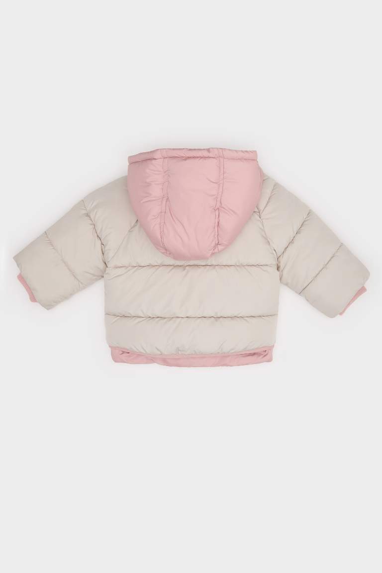 Kız Bebek Kapüşonlu Fermuarlı Çok Renkli Çıtçıtlı Fermuarlı Şişme Mont
