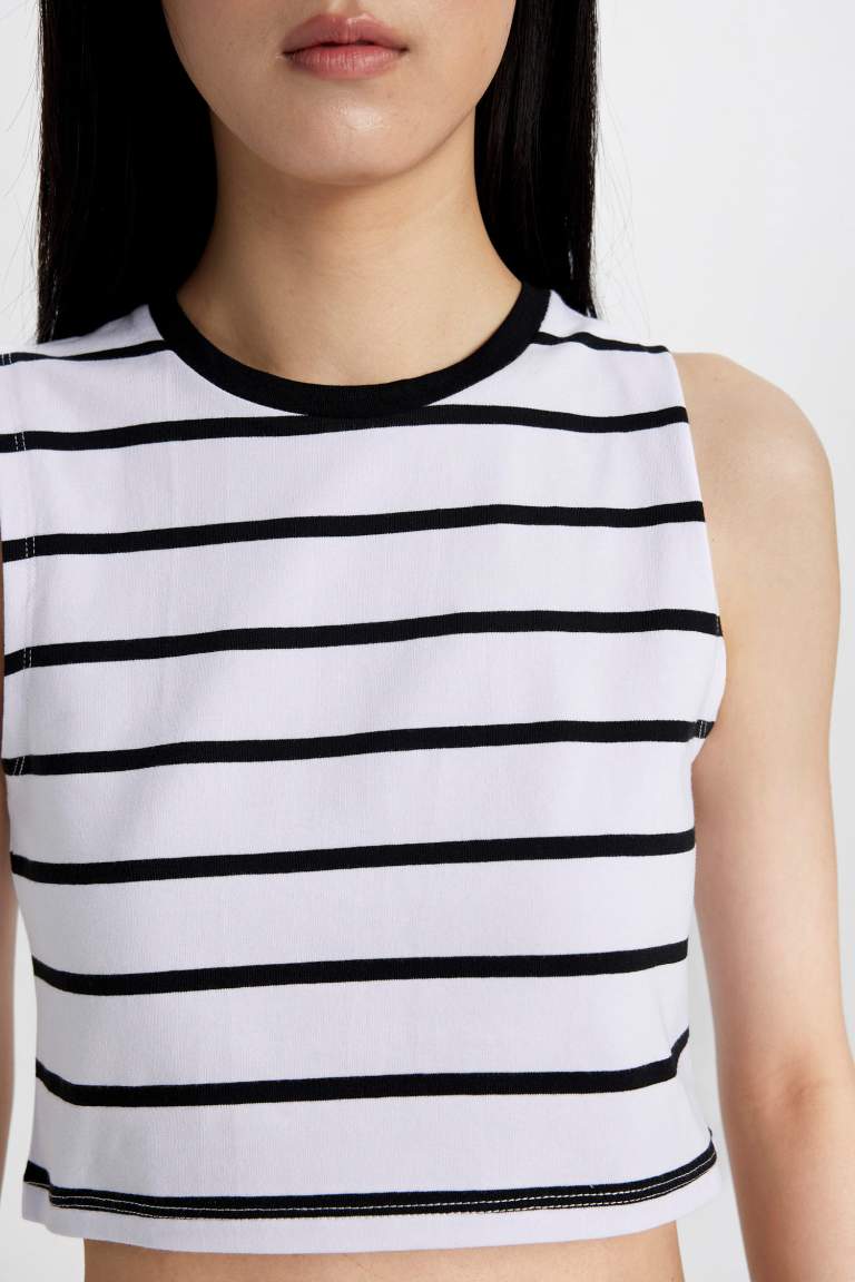 Slim Fit Striped Crew Neck Crop Top