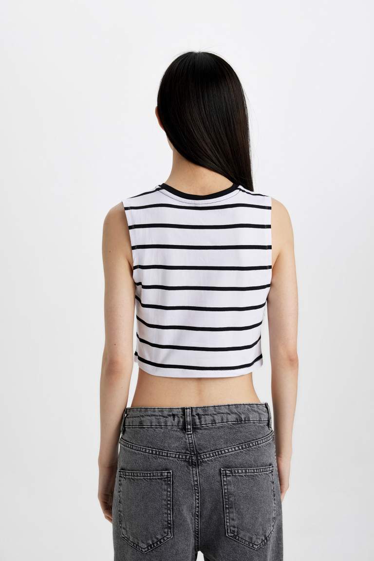 Slim Fit Striped Crew Neck Crop Top