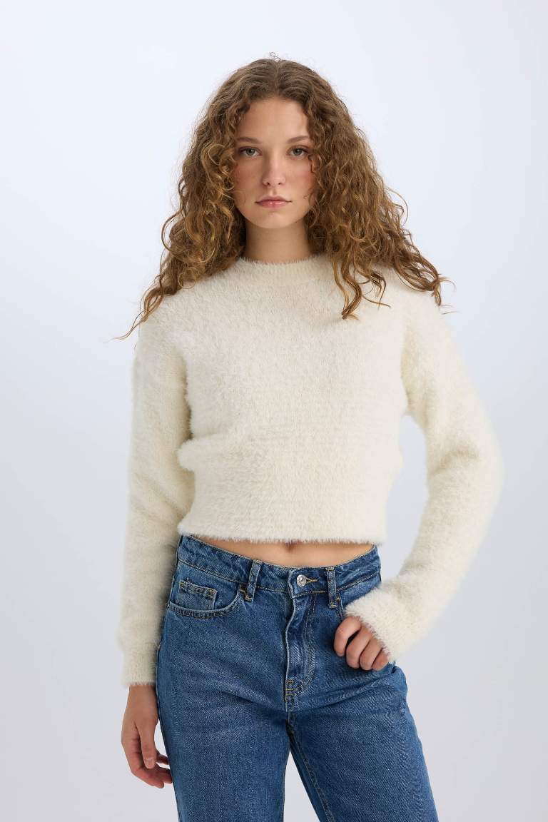 Regular Fit Crew Neck Knitwear Pullover