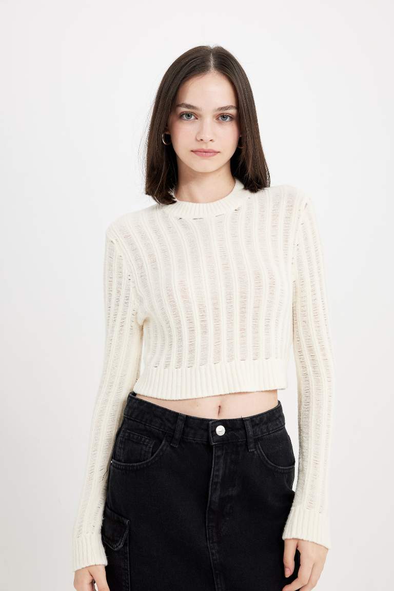 PulL Tricot à Col Rond et coupe régulière