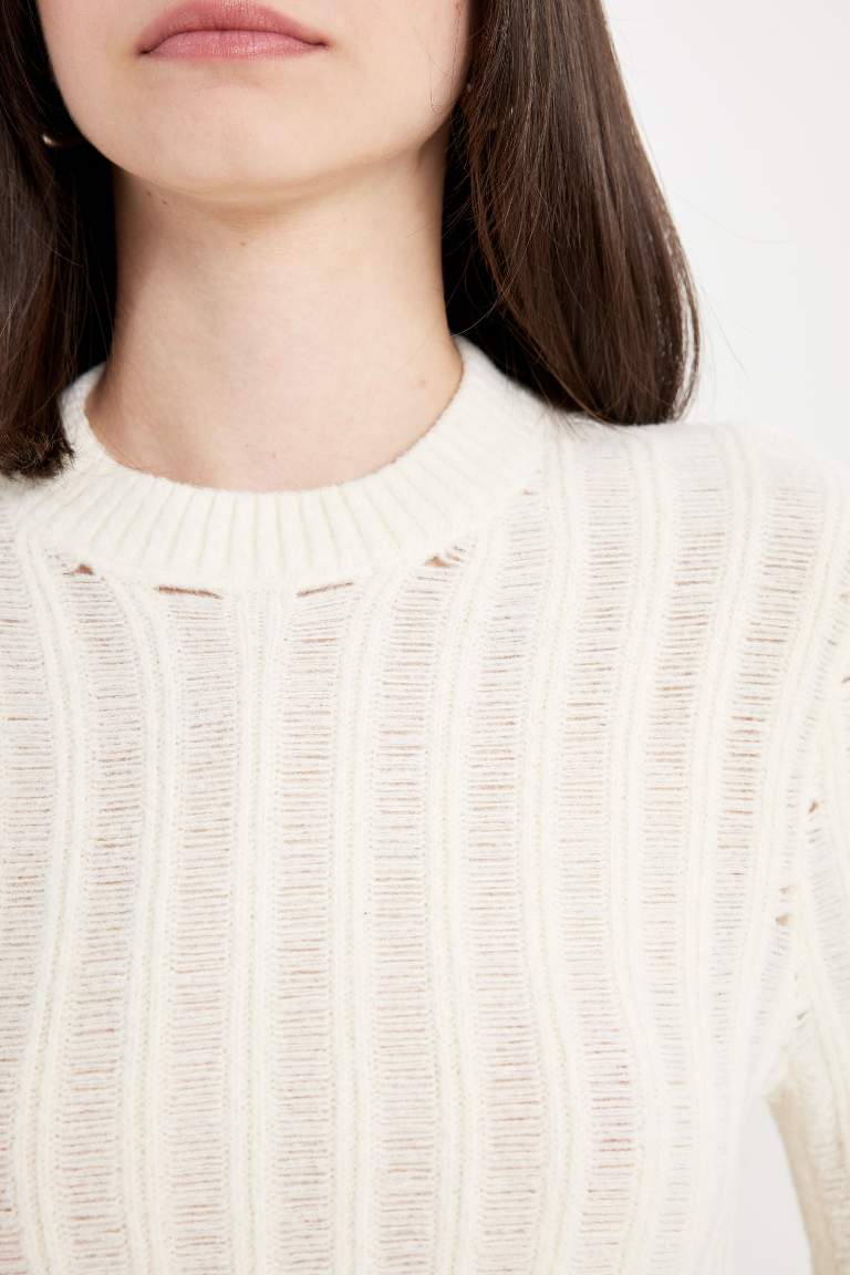 PulL Tricot à Col Rond et coupe régulière