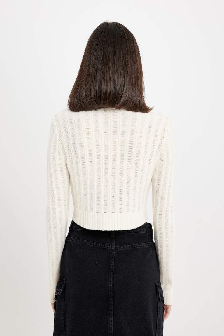 PulL Tricot à Col Rond et coupe régulière