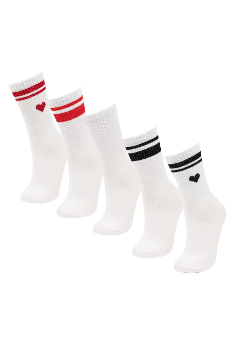 Woman 5 Piece Cotton Long Socks