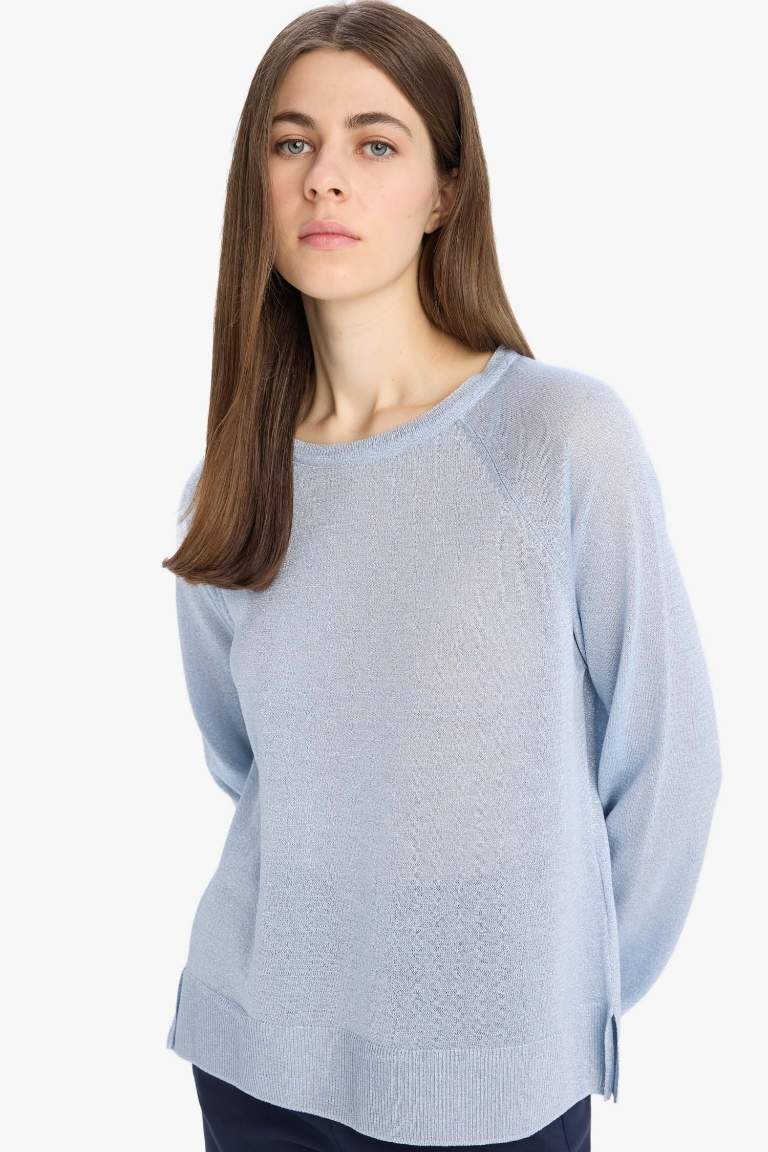 Regular Fit Crew Neck Basic Knit Pullover