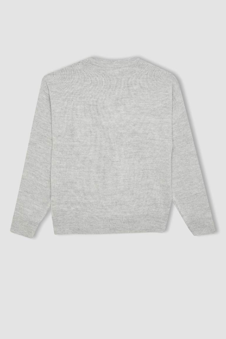 Girl Gray Standard Fit Crew Neck Basic Knitted Pullover