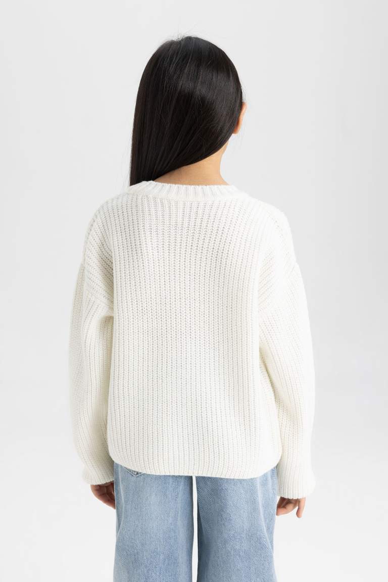 Girl Standard Fit Crew Neck Basic Knitted Pullover