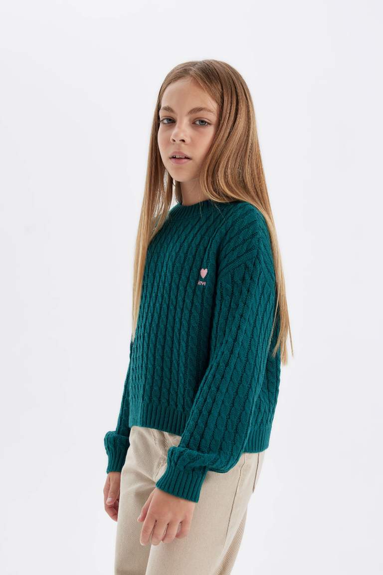 Girl Standard Fit Crew Neck Pullover