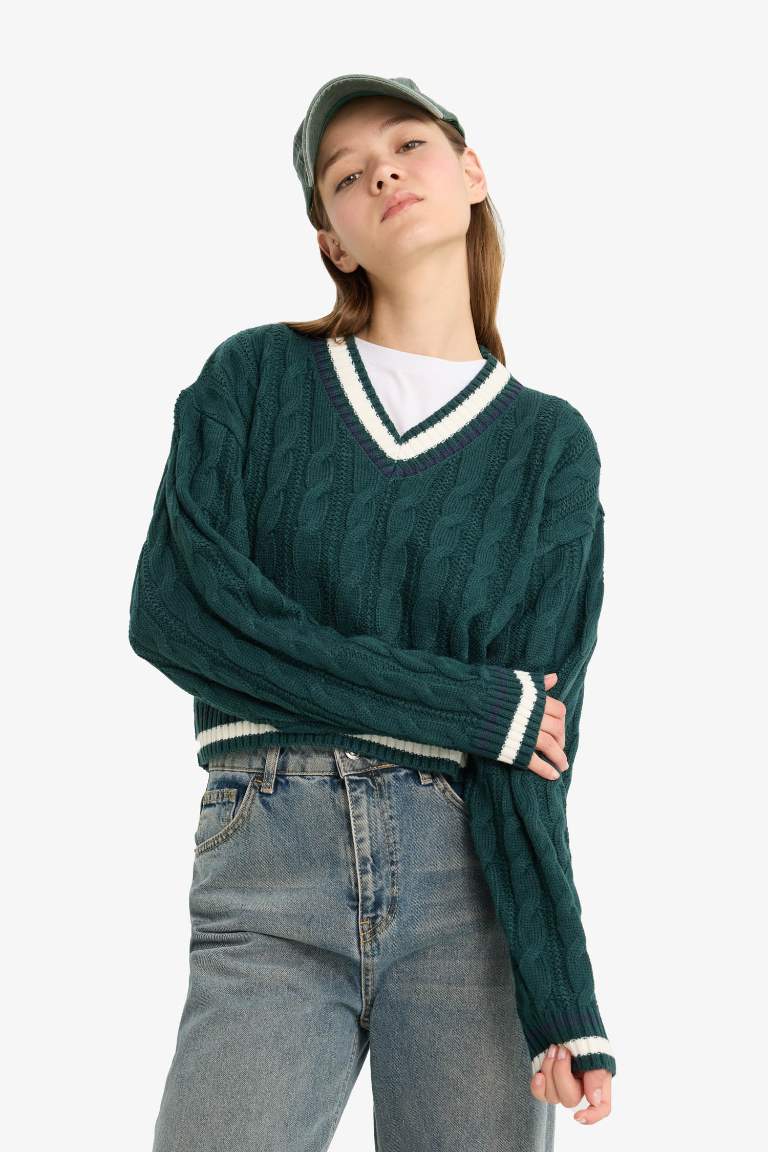 Regular Fit V Neck Knit Pullover