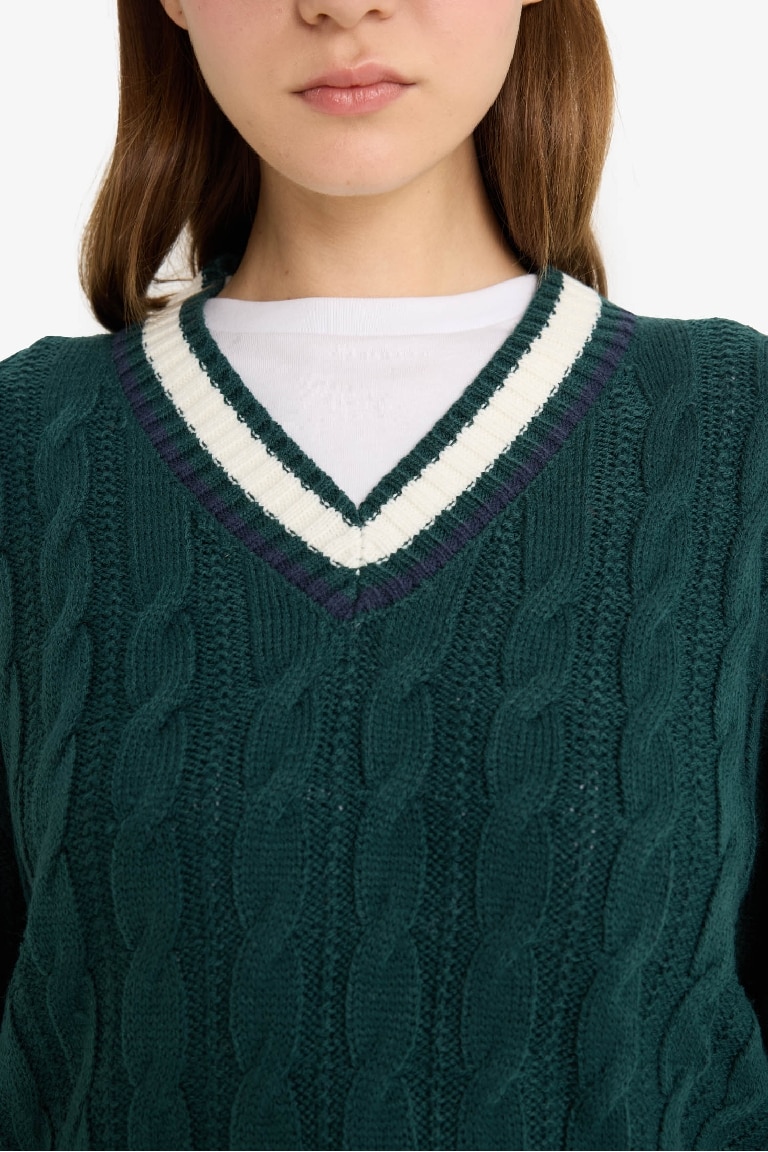Regular Fit V Neck Knit Pullover