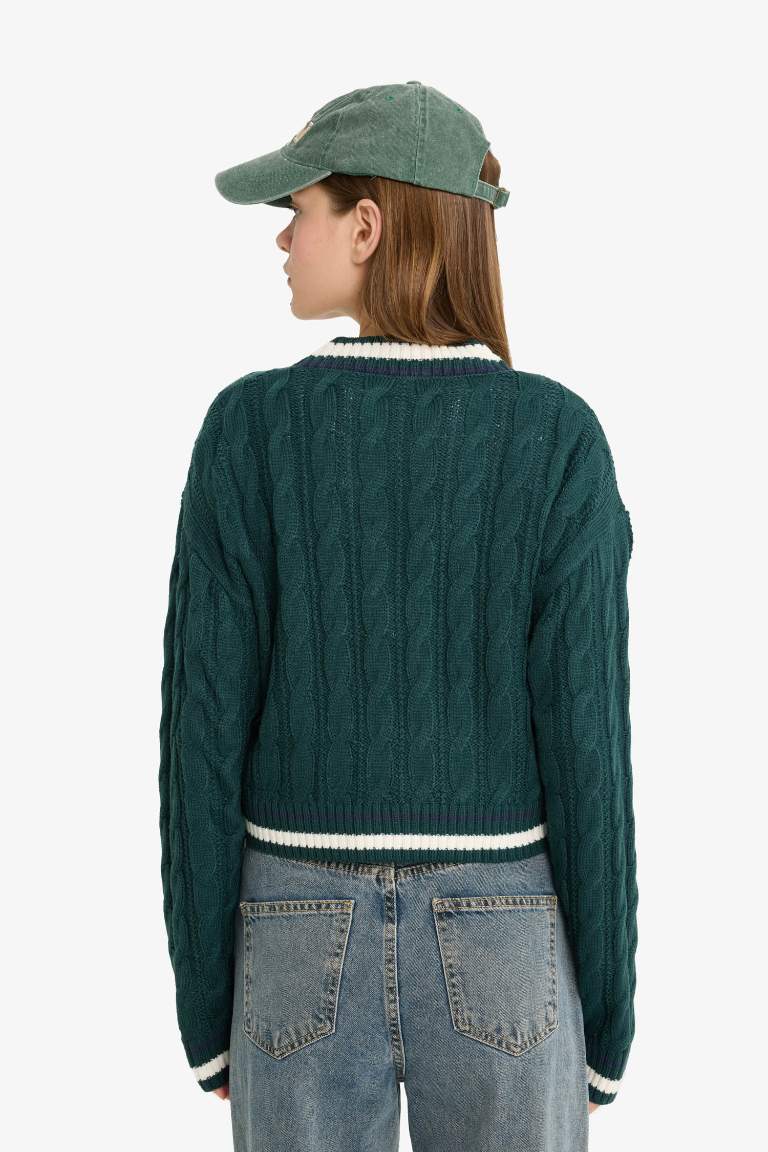 Regular Fit V Neck Knit Pullover