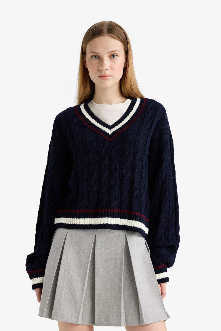 Regular Fit V Neck Knit Pullover