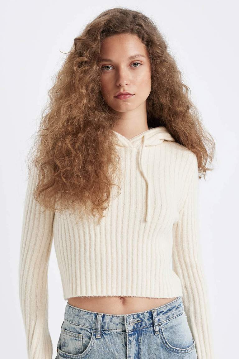 Pull en tricot avec capuche à coupe régulière