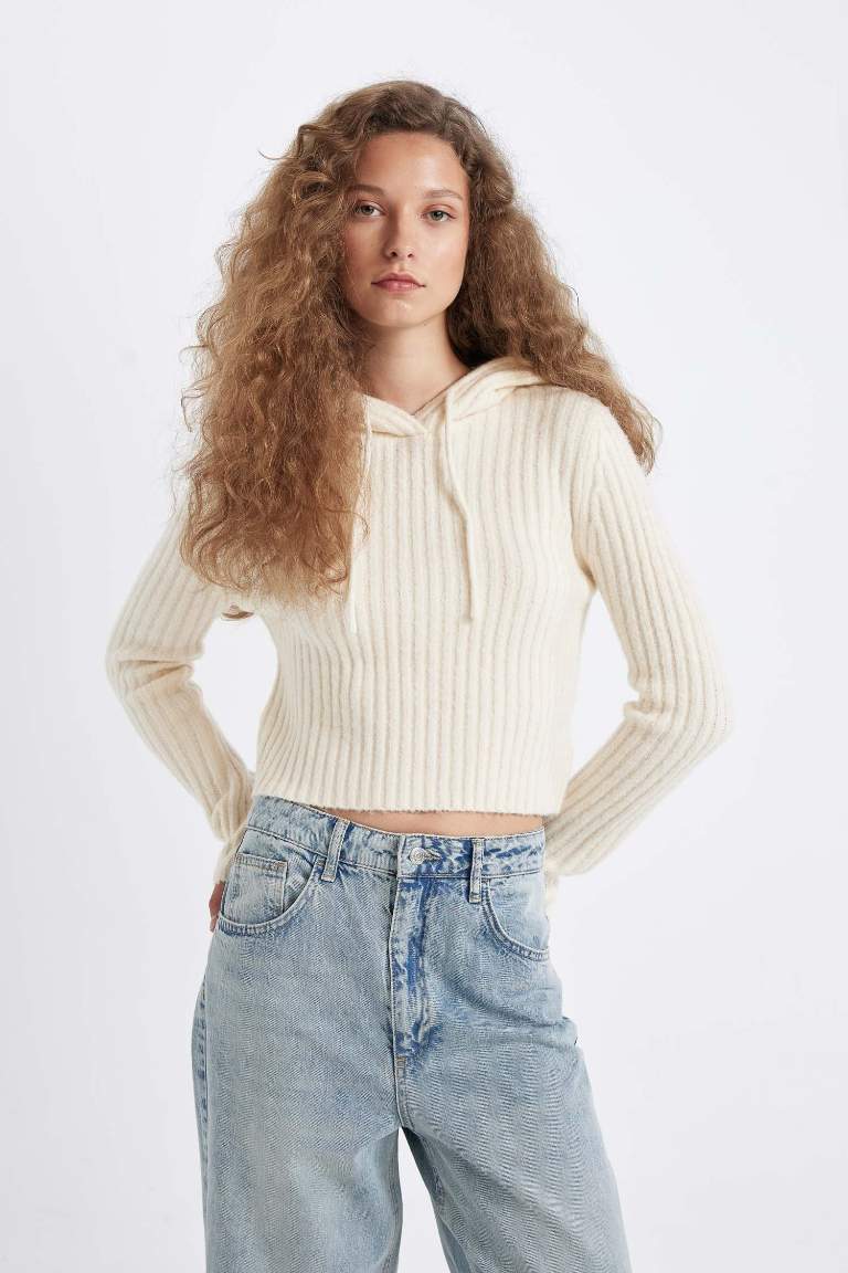 Pull en tricot avec capuche à coupe régulière