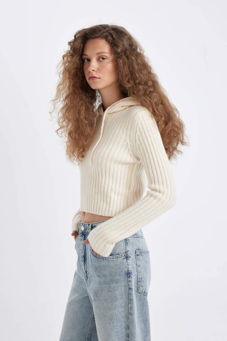 Pull en tricot avec capuche à coupe régulière