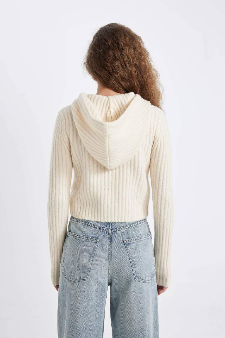 Pull en tricot avec capuche à coupe régulière