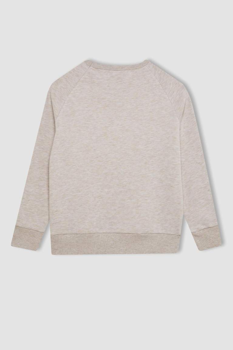 Boy Crew Neck School Sweatshirt