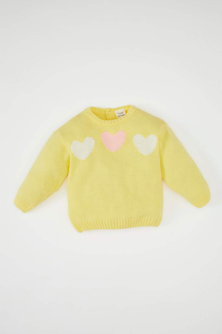 Baby Girl Regular Fit Crew Neck Pullover