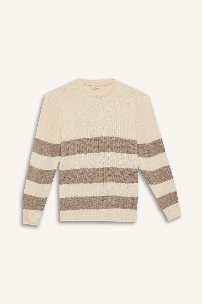 Boy Regular Fit Crew Neck Striped Knitwear Pullover