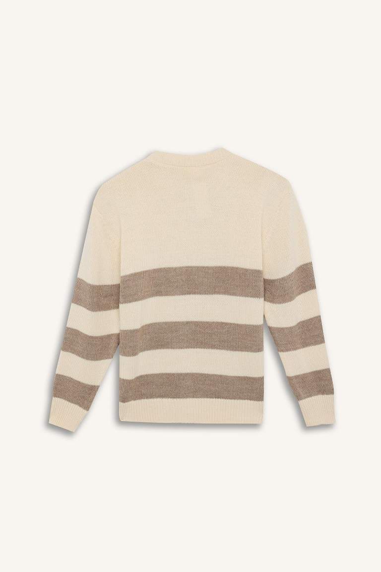 Boy Regular Fit Crew Neck Striped Knitwear Pullover