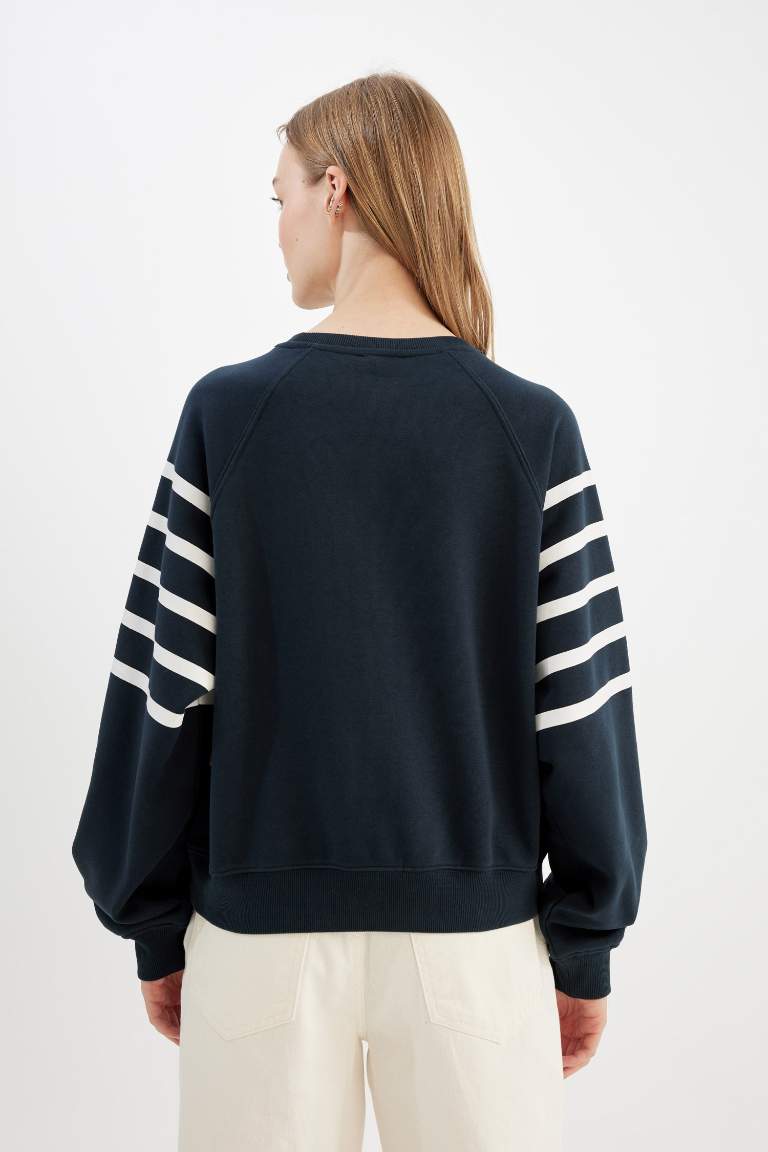 Oversize Fit Striped Thick Fabric Sweatshirt