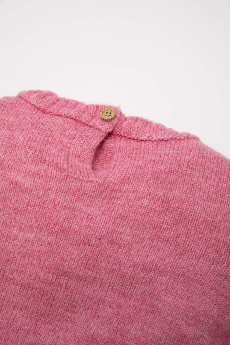 Baby Girl Pink Regular Fit Crew Neck Knitted Pullover