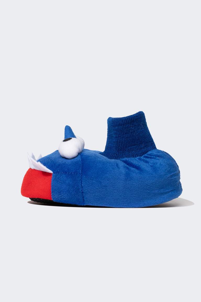 Boy Fun Flat Sole Slippers