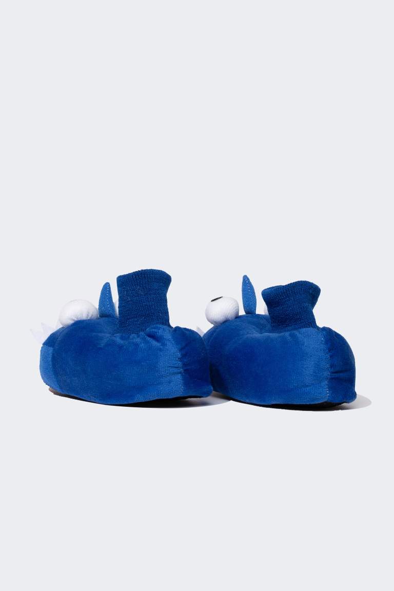 Boy Fun Flat Sole Slippers