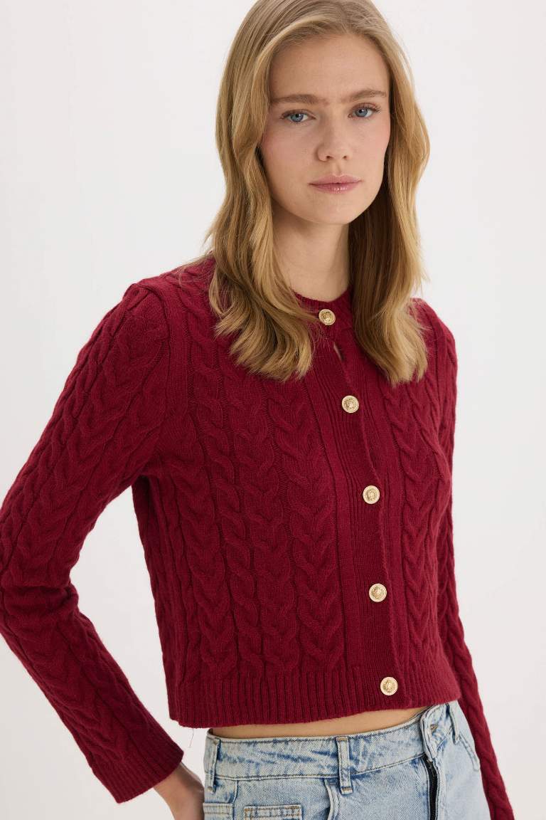 Cardigan tricot basique à col rond et coupe régulière