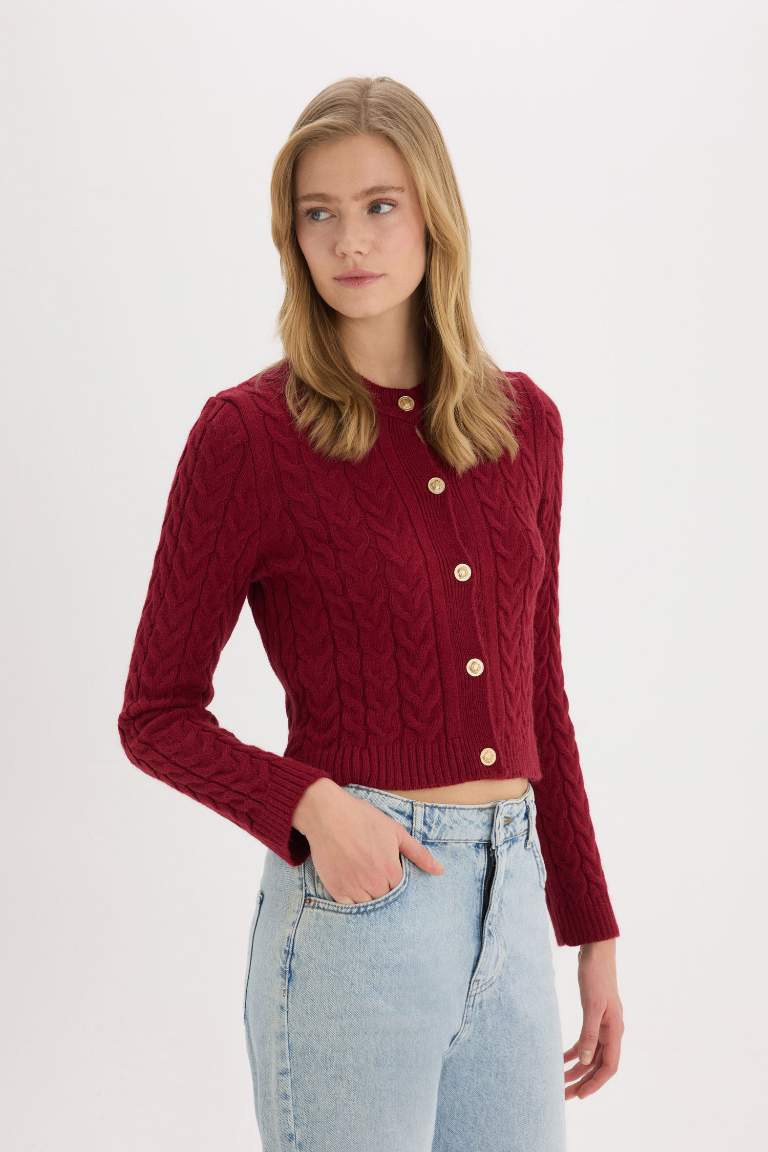 Cardigan tricot basique à col rond et coupe régulière