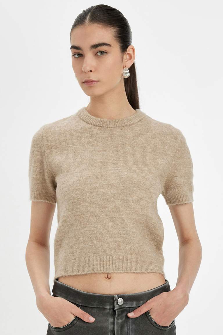 Regular Fit Crew Neck Premium Basic Pullover