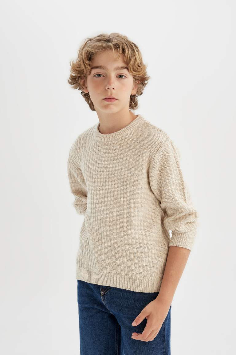 Boy Regular Fit Crew Neck Pullover