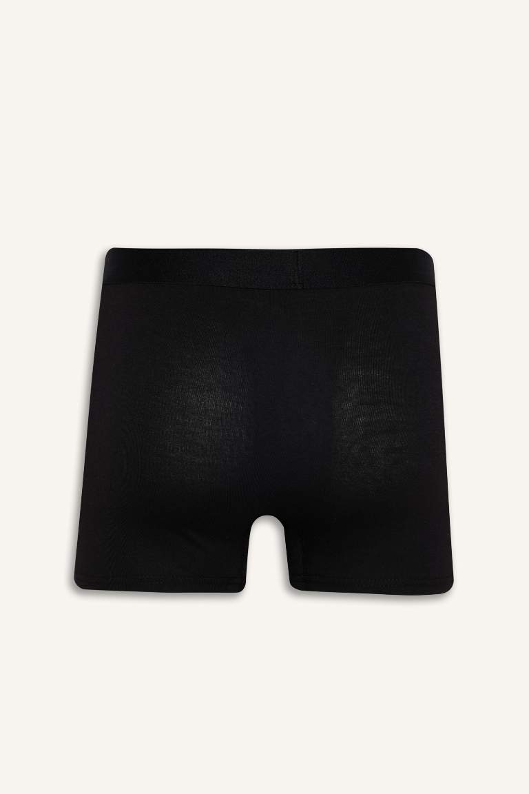 Regular Fit 3'lü Boxer