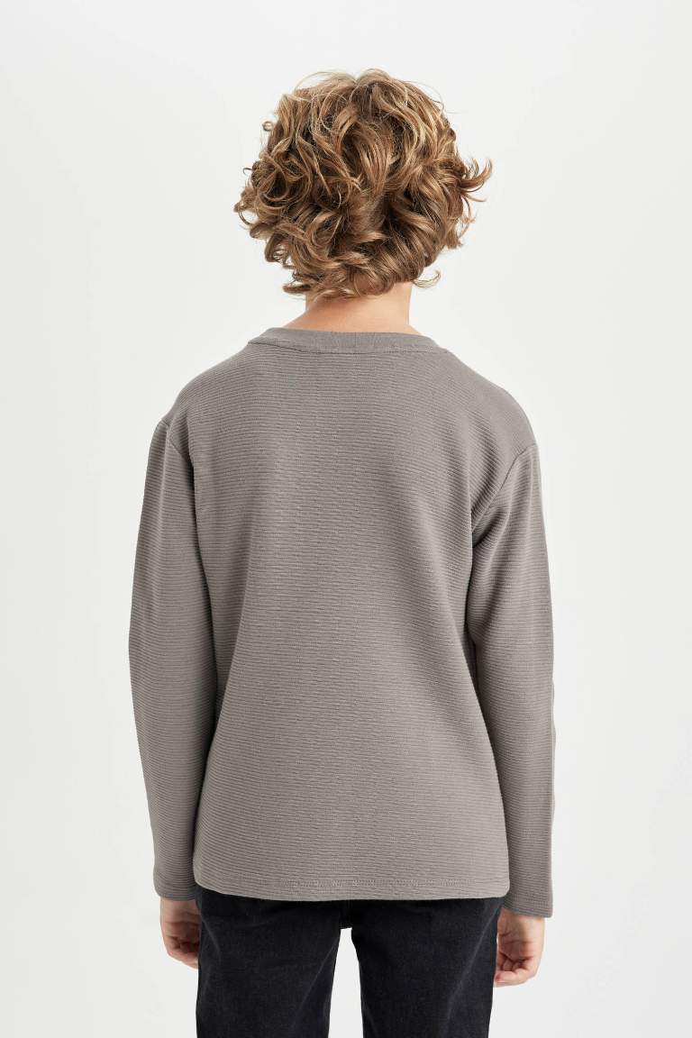 Boy Regular Fit Crew Neck Long Sleeve Basic T-shirt