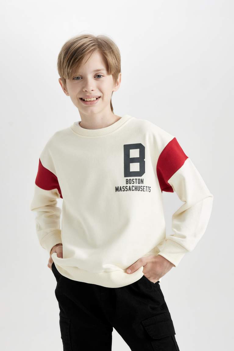 Boy Crew Neck Printed Thick Sweatshirt